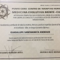 Ampliar imagen: certificate 5