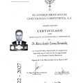 Ampliar imagen: certificate 2
