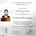 Ampliar imagen: certificate 1