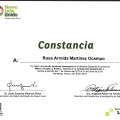 Ampliar imagen: certificate 9