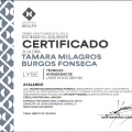 Ampliar imagen: certificate 2