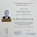 Ampliar imagen: certificate 1