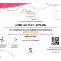 Ampliar imagen: certificate 11