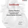 Ampliar imagen: certificate 2