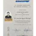 Ampliar imagen: certificate 2