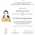 Ampliar imagen: certificate 1