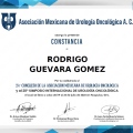 Ampliar imagen: certificate 9