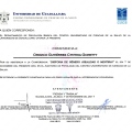 Ampliar imagen: certificate 9