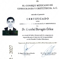 Ampliar imagen: certificate 9