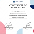 Ampliar imagen: certificate 7