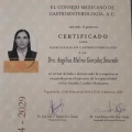 Ampliar imagen: certificate 1