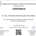 Ampliar imagen: certificate 3