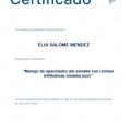 Ampliar imagen: certificate 8