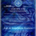 Ampliar imagen: certificate 26