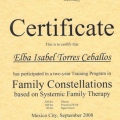 Ampliar imagen: certificate 11