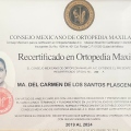 Ampliar imagen: certificate 1