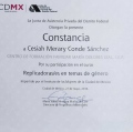 Ampliar imagen: certificate 8