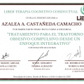 Ampliar imagen: certificate 6