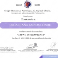 Ampliar imagen: certificate 6