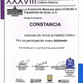 Ampliar imagen: certificate 4