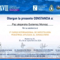 Ampliar imagen: certificate 3