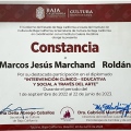 Ampliar imagen: certificate 12