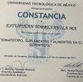 Ampliar imagen: certificate 13