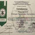 Ampliar imagen: certificate 6
