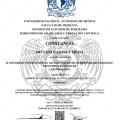 Ampliar imagen: certificate 3