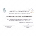 Ampliar imagen: certificate 12