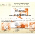 Ampliar imagen: certificate 21
