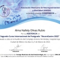 Ampliar imagen: certificate 9