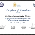 Ampliar imagen: certificate 2