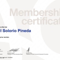 Ampliar imagen: certificate 8