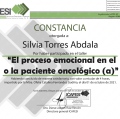 Ampliar imagen: certificate 13