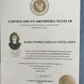 Ampliar imagen: certificate 4