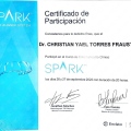 Ampliar imagen: certificate 9