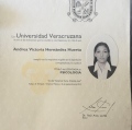 Ampliar imagen: certificate 2