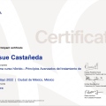 Ampliar imagen: certificate 3