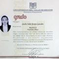 Ampliar imagen: certificate 20