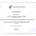 Ampliar imagen: certificate 8