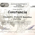 Ampliar imagen: certificate 10