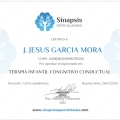 Ampliar imagen: certificate 10
