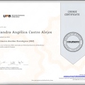 Ampliar imagen: certificate 6