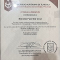 Ampliar imagen: certificate 8