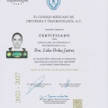 Ampliar imagen: certificate 3