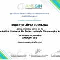 Ampliar imagen: certificate 6
