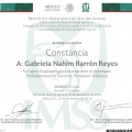 Ampliar imagen: certificate 5