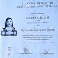 Ampliar imagen: certificate 2