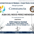 Ampliar imagen: certificate 6